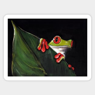 Midnight Mischief  -  Original Painting Red-Eyed Tree Frog Sticker